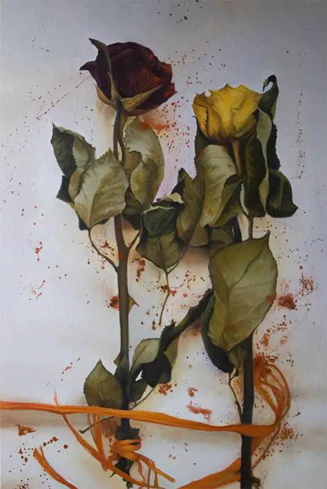 Immagine gallery