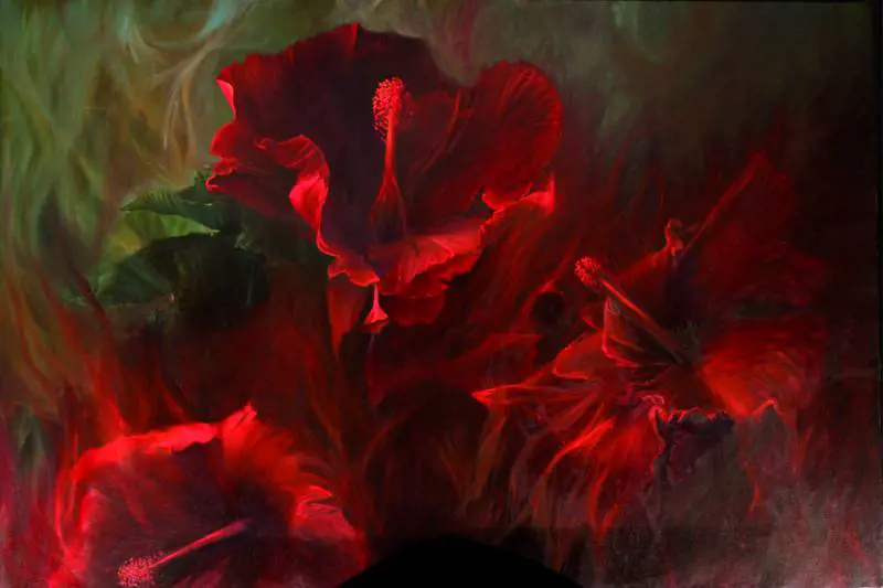 Immagine gallery