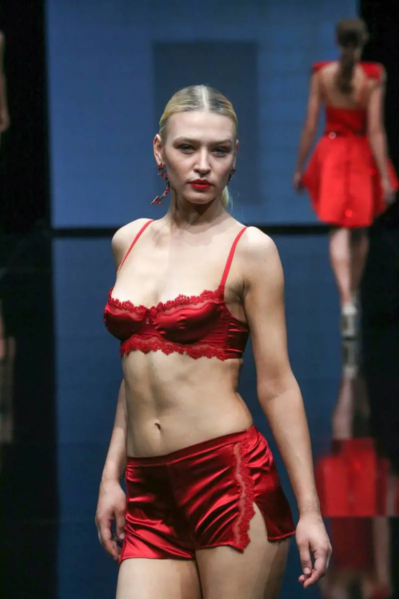 Immagine gallery