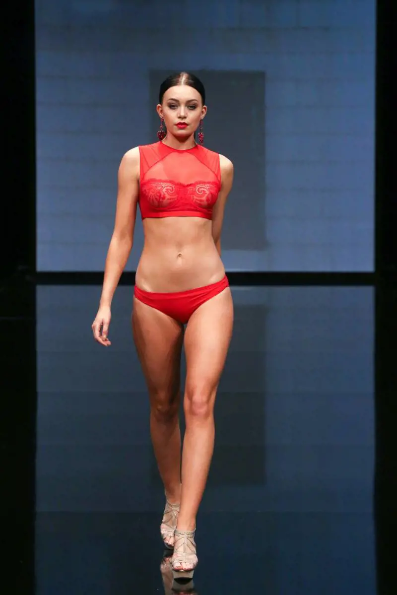 Immagine gallery