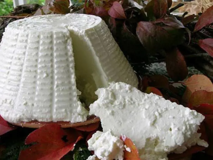 Distribuiscono ricotta contaminata. Ma vengono assolti tutti