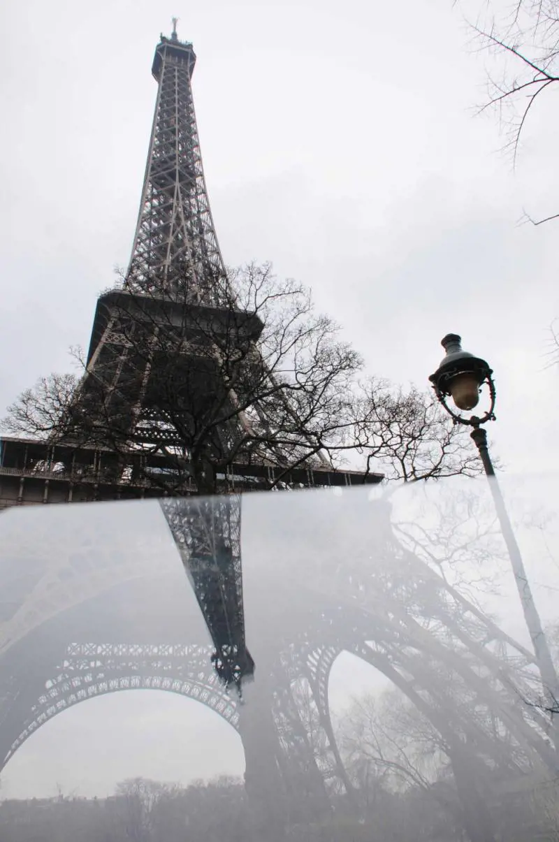 Immagine gallery