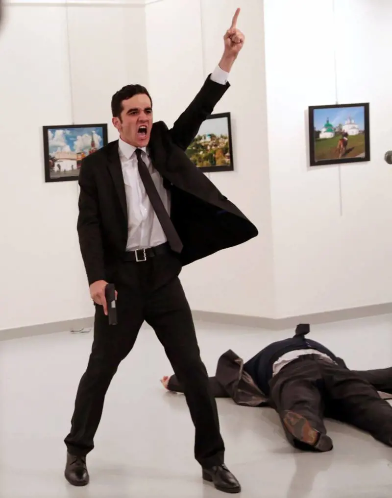 Immagine gallery