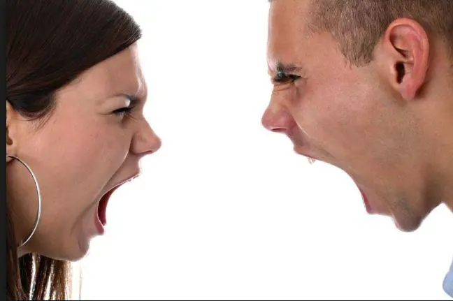 L'arte dell'insulto, se vuoi proprio offendere scegli la parola giusta