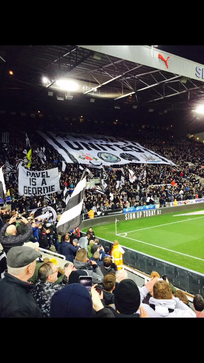 Gallowgate Flags, dall'Inghilterra ecco il tifo che piace