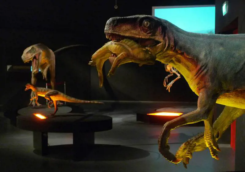 Dall'Argentina al Mudec in mostra i giganti della storia