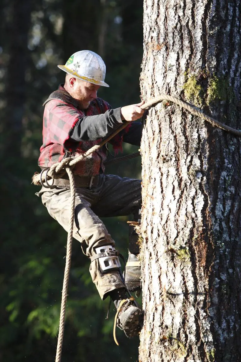Caccia, motori e affari: sulle tv italiane sbarca il "trumpismo"