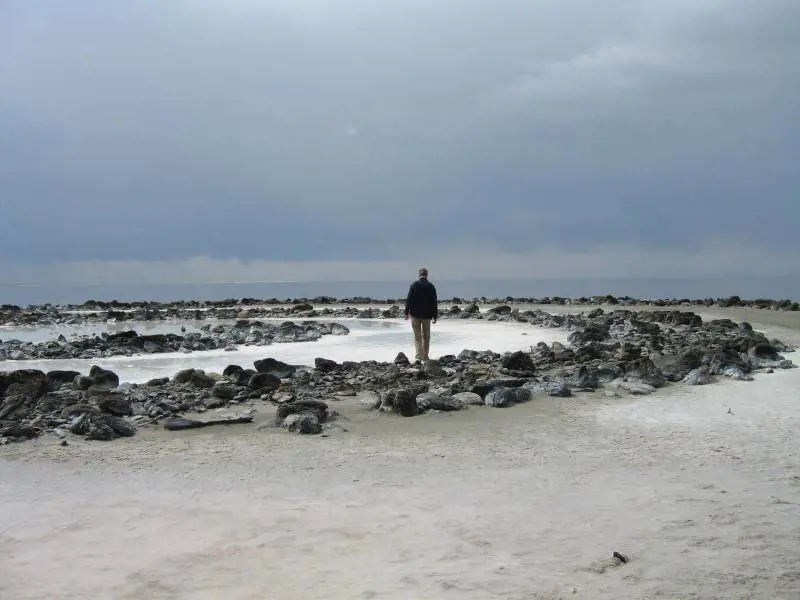 "Leggerezza e umorismo sono il lasciapassare per l'autentica serietà"