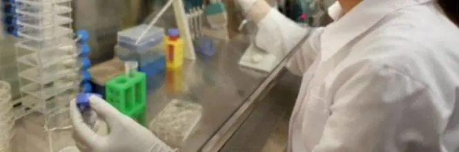 L'ultima frontiera della genetica: "La Russia impianta neonati Ogm"