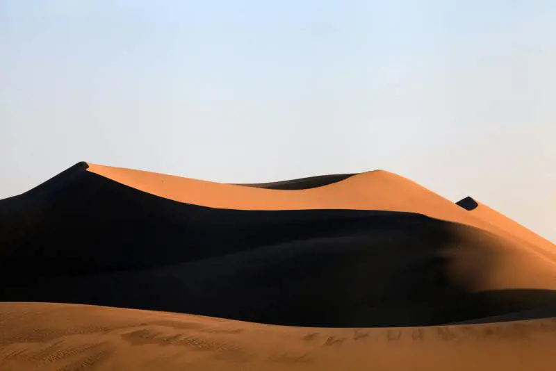 Immagine gallery