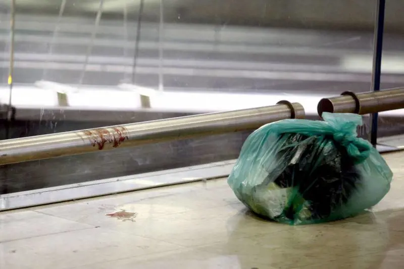 Milano, l'aggressore della stazione era stato arrestato per droga