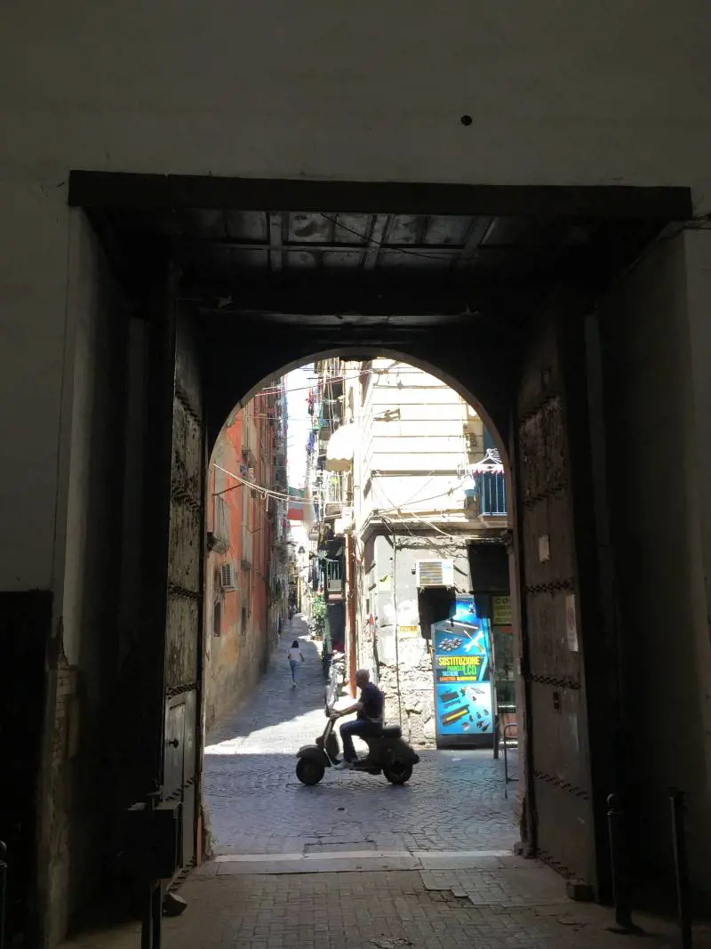 Immagine gallery