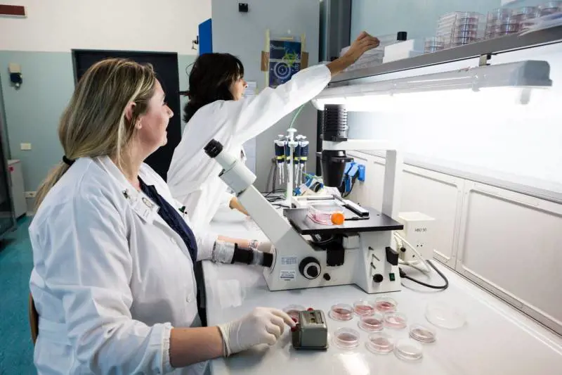 Cento nuovi stupefacenti: arriva il team acchiappa-droghe