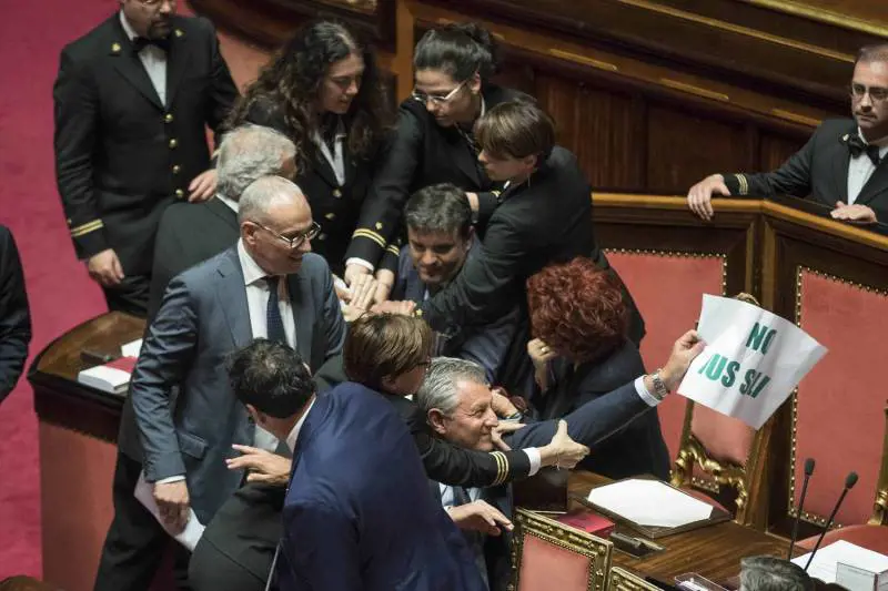 Ius soli, è bagarre al Senato: la Fedeli finisce in infermeria