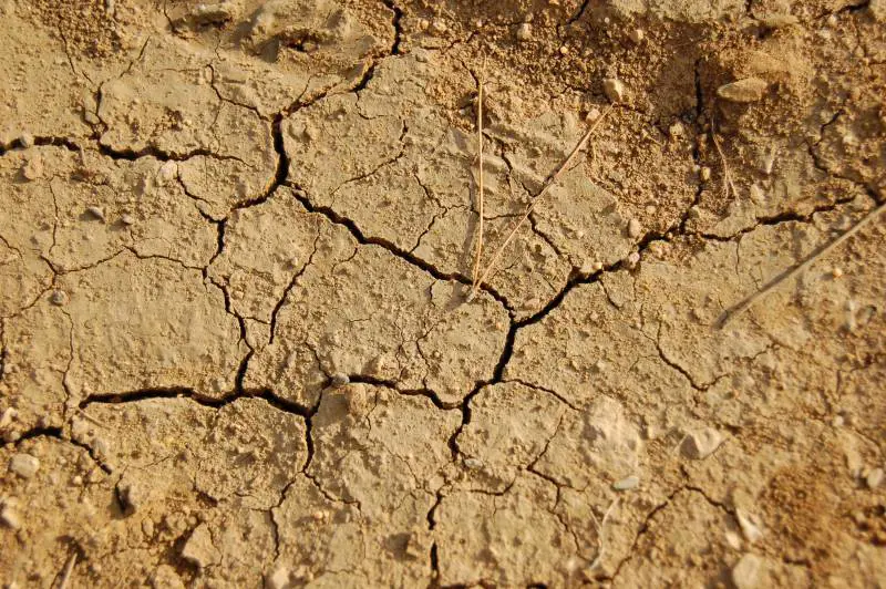 Manca acqua ovunque: stato di emergenza a Parma e Piacenza