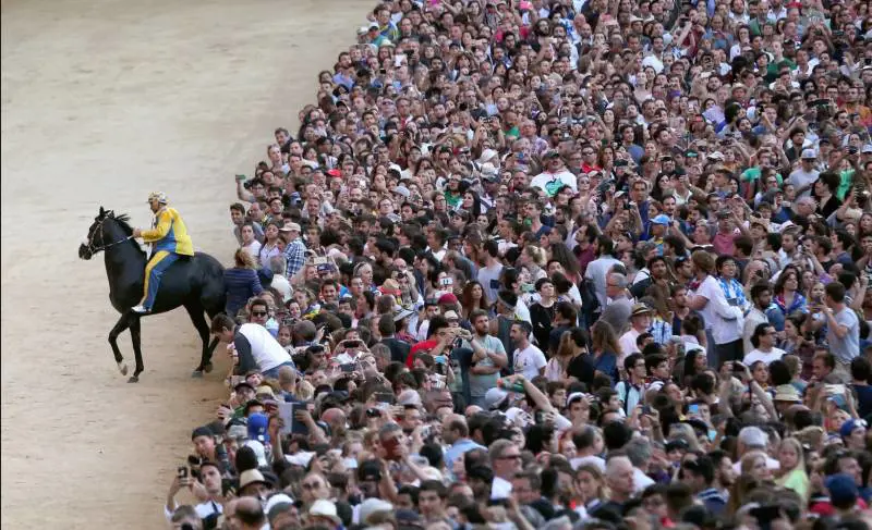 Palio di Siena, un cavallo trovato positivo al doping
