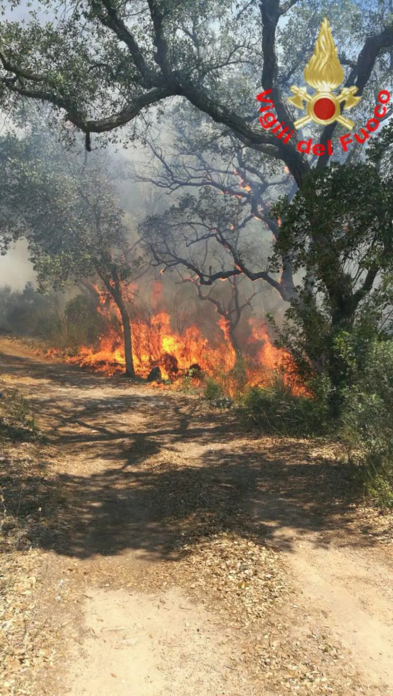 Emergenza incendi: due vittime in Calabria