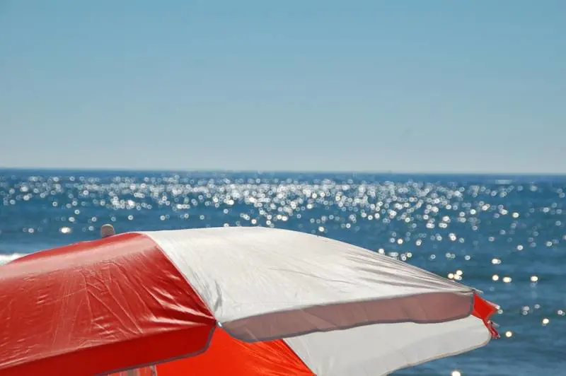 Rimini, 15 giorni di vacanza gratis: "Basta documentare tutto sui social"