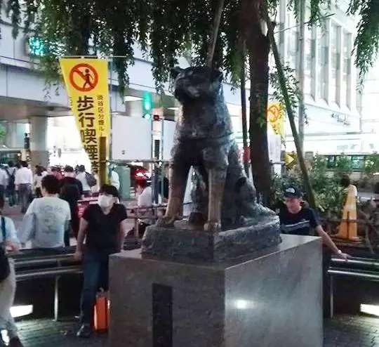 A Tokyo, tutti in fila per un selfie con Hachiko