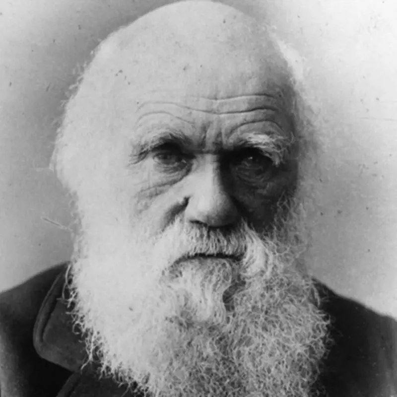 La femmina? Inferiore all'uomo: il lato sessista di Charles Darwin
