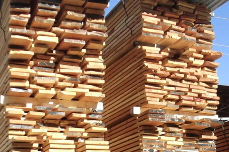 Legname di latifoglie, a Venezia la Hardwood Conference analizza scenari e prospettive