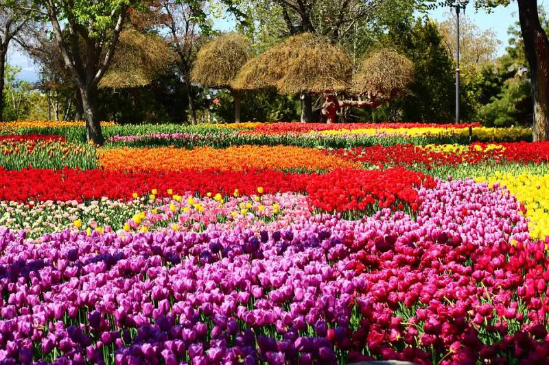 Non solo fiori Dimmi che giardino hai e ti dirò chi sei