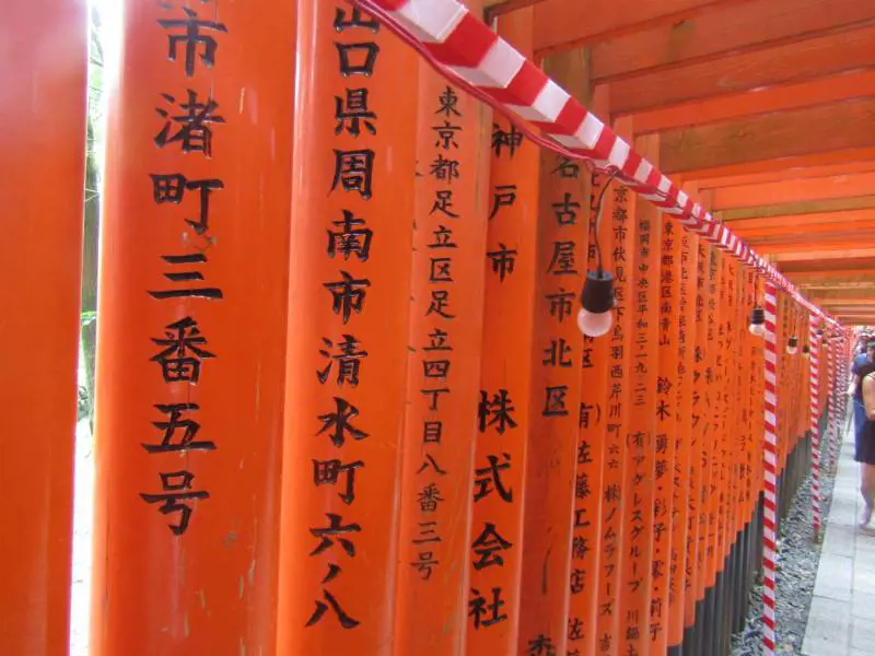 Immagine gallery