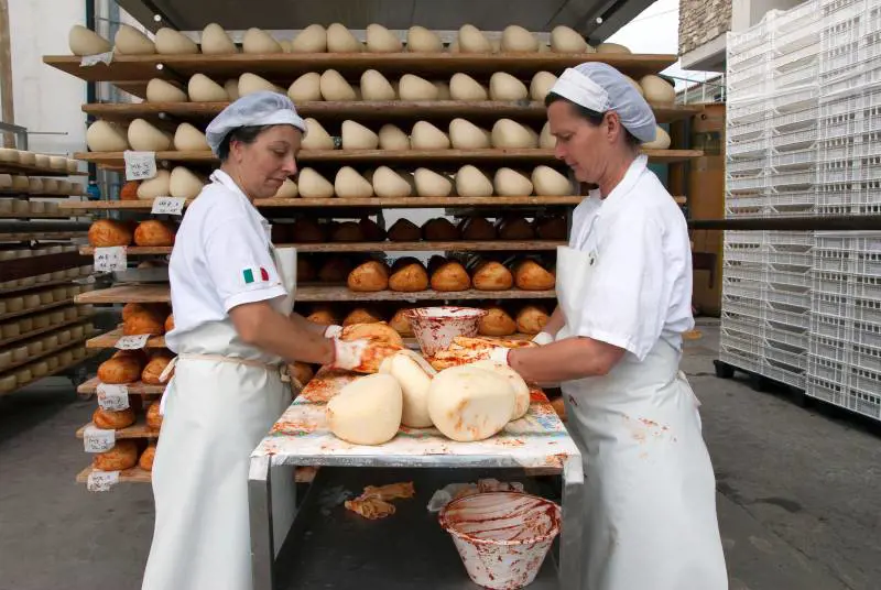 Cresce l’occupazione nell’Eurozona nel primo trimestre 2025 Eurostat; in calo le ore lavorate