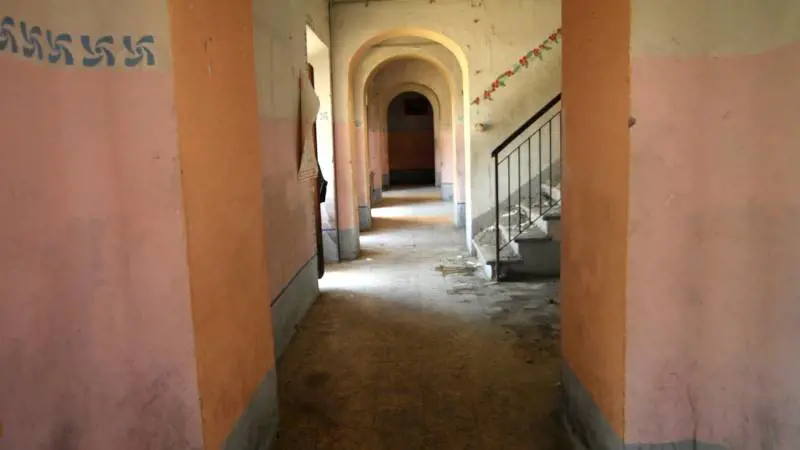Immagine gallery