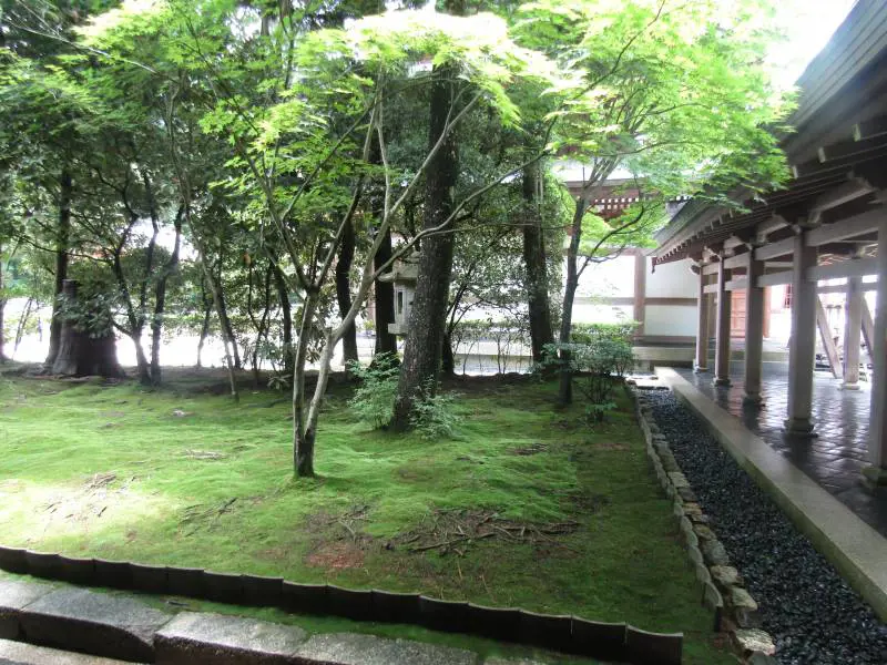 Immagine gallery