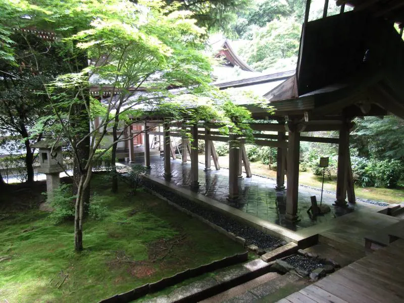 Immagine gallery