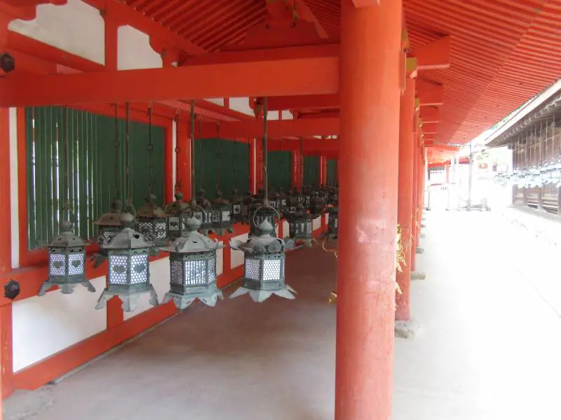 Immagine gallery