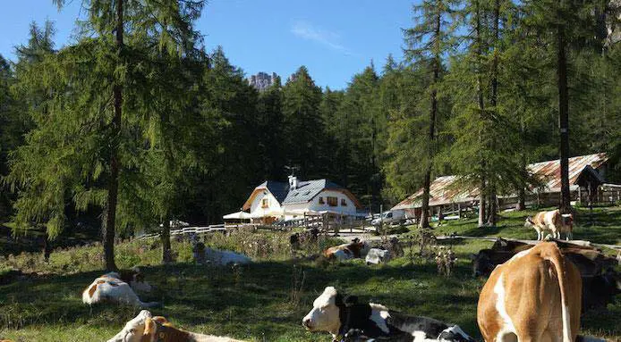 L'agriturismo El Brite de Larieto