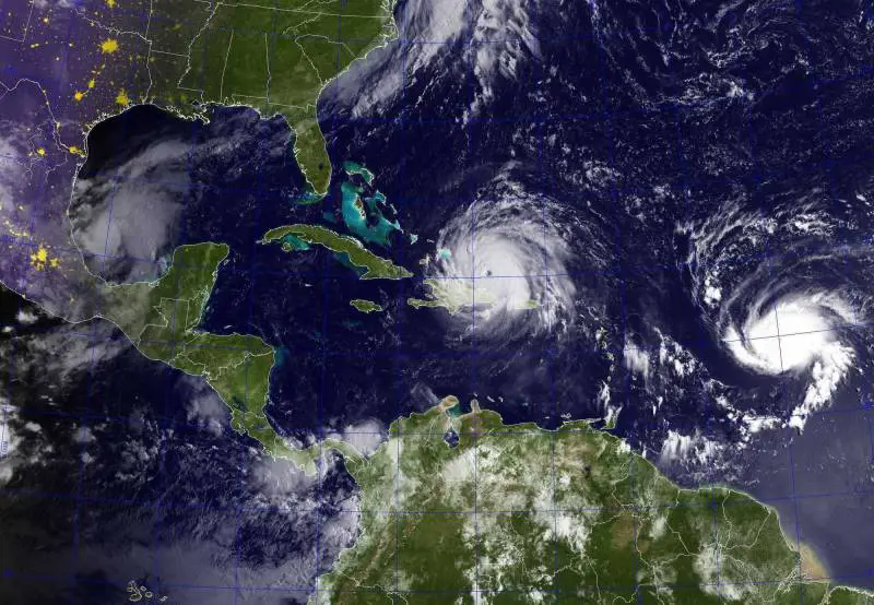 Il misterioso mostro marino trovato dopo l'uragano Harvey