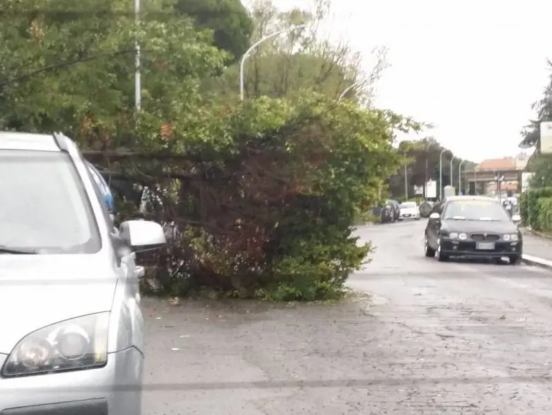Una mattina di pioggia mette ko Roma e la Raggi "Non uscite di casa"