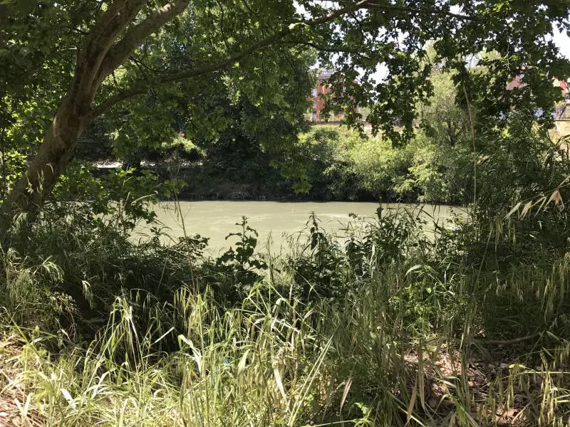 Roma, la spiaggia sul Tevere aprirà i battenti ad agosto