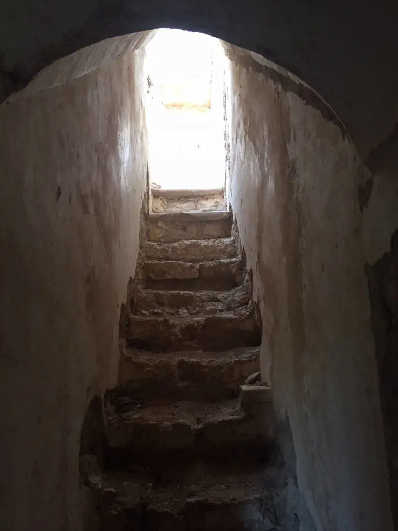 Immagine gallery
