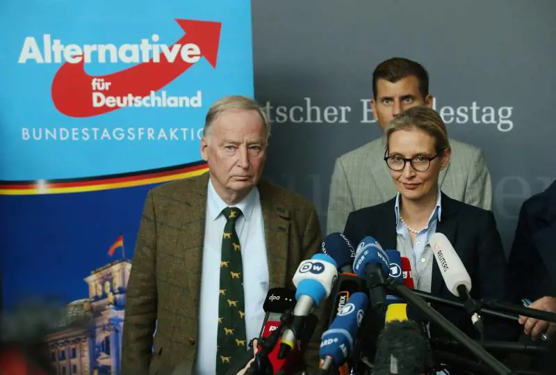 L'accusa dello Spiegel all'Afd: "Finanziati da un miliardario"