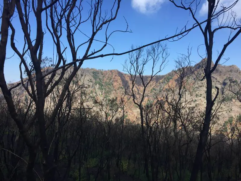 Vesuvio, non solo eruzione: l'allarme incendi