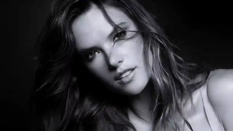 Immagine gallery