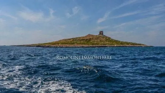 Così a Palermo hanno messo l'Isola delle Femmine in vendita