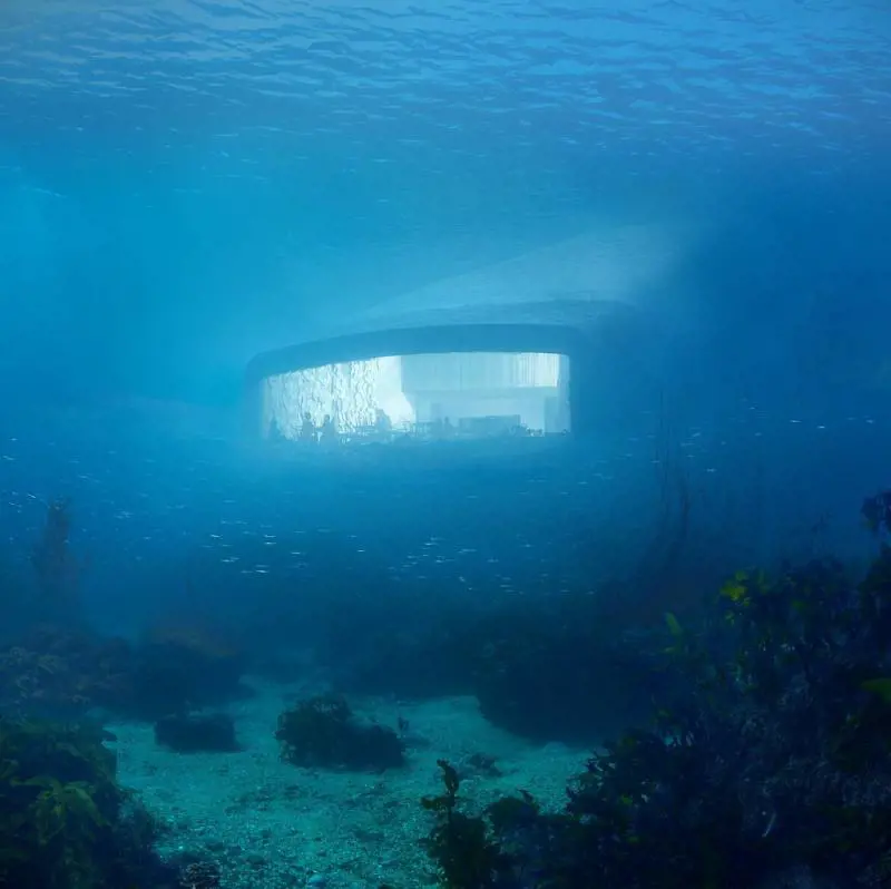 Immagine gallery