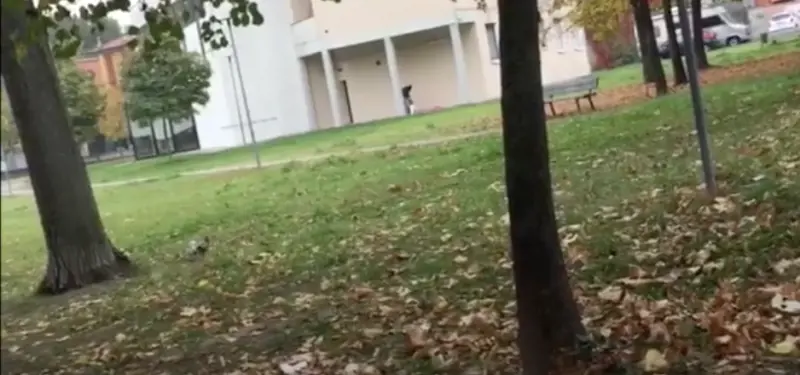 Bologna, immigrato si masturba di fronte ad una scuola