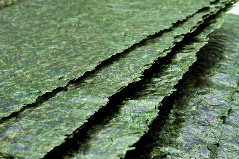 Alghe, una sorpresa verde a tavola