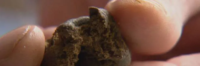 Nascondeva hashish nella galleria ferroviaria, arrestato