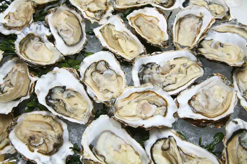Venezia, pranzo da 526 euro. Il turista scrive al sindaco