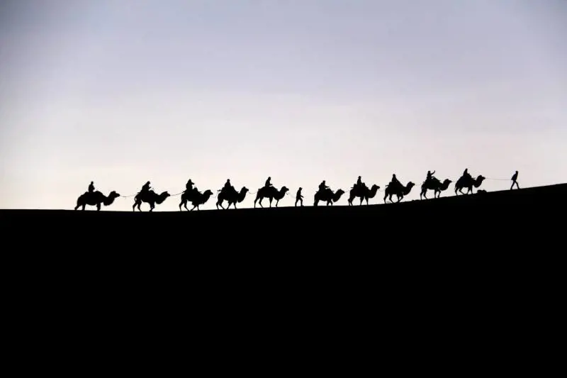 Immagine gallery
