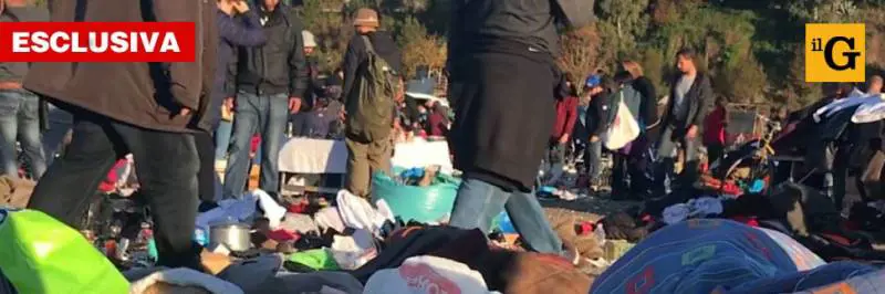 Merce rubata e contraffatta: ecco il mega suq che imbarazza i grillini