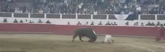 Messico, torero colpito all'inguine durante la corrida