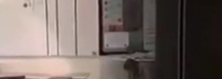 Usa, insegnante sniffa cocaina in classe